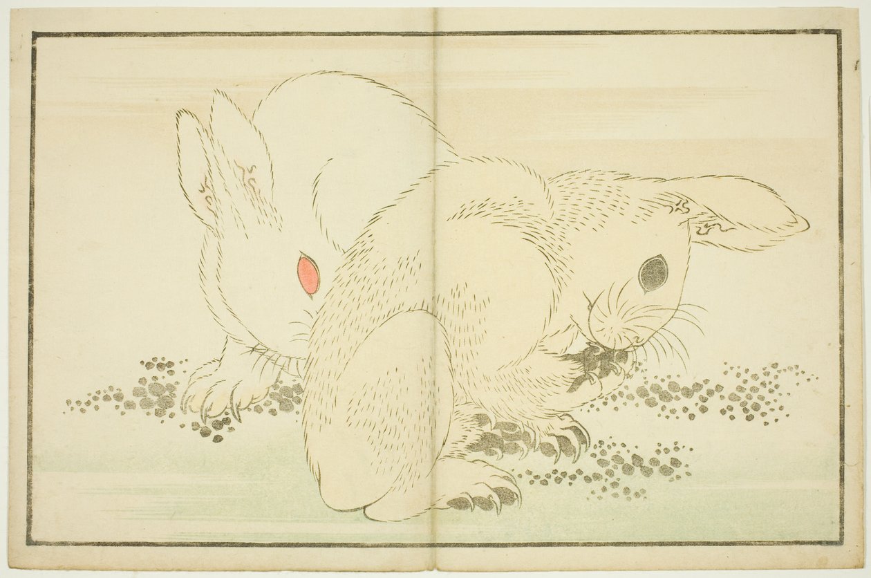 Dwa króliki, z Księgi obrazkowej realistycznych obrazów Hokusaia (Hokusai shashin gafu) autorstwa Katsushika Hokusai