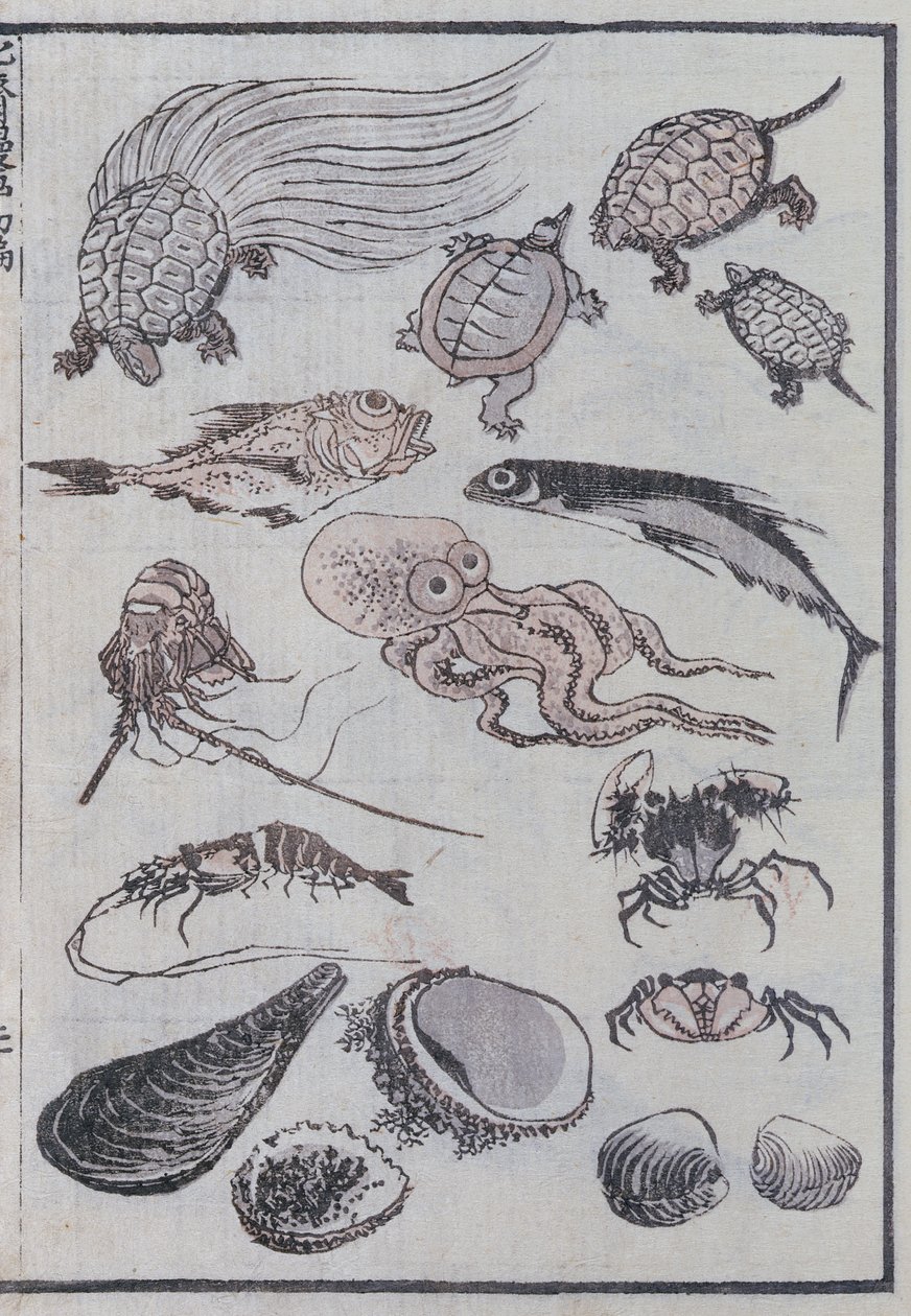 Stworzenia podwodne z mangi (kolorowy drzeworyt) autorstwa Katsushika Hokusai