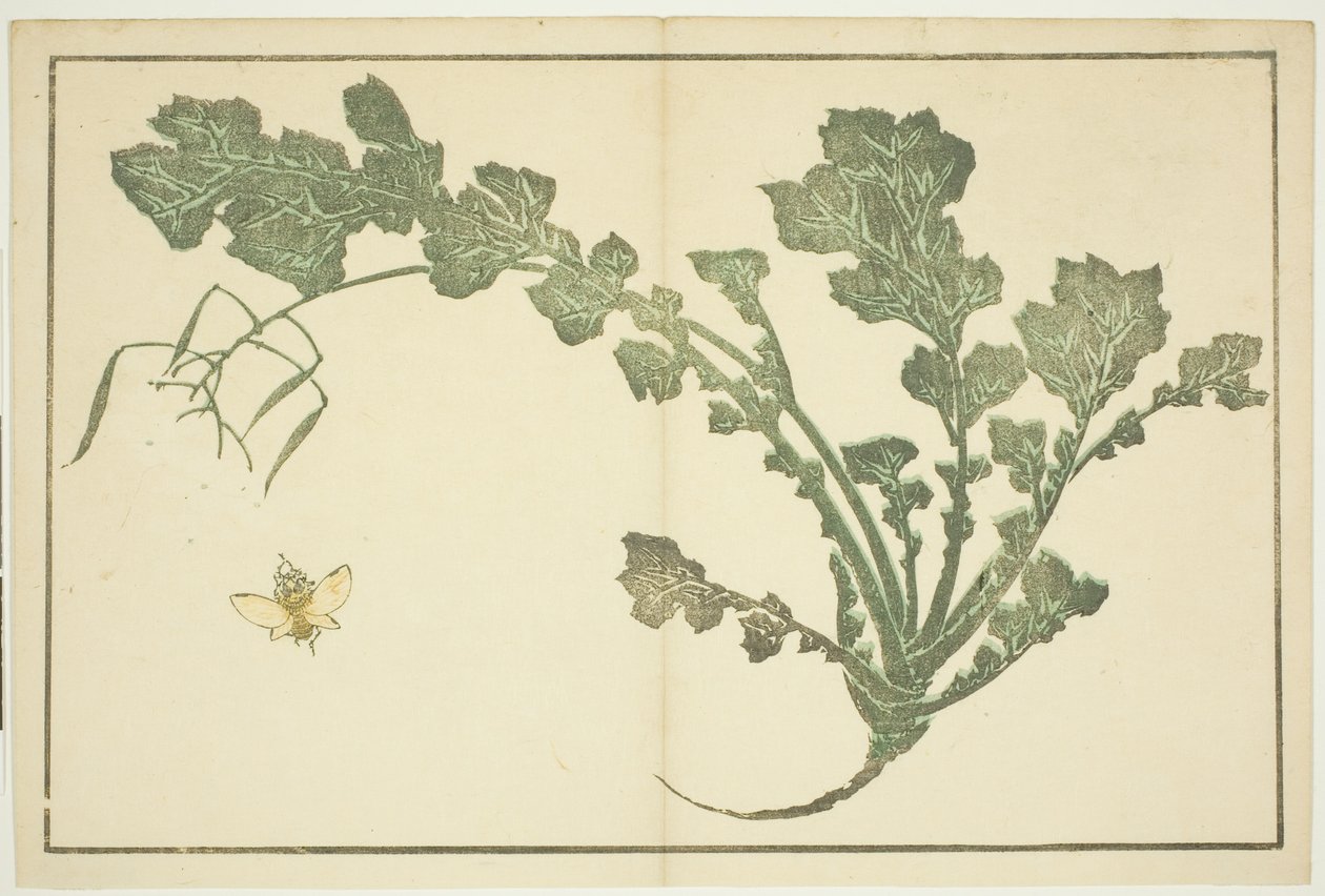 Łodyga osy i rzepy, z „Księgi obrazkowej realistycznych obrazów Hokusaia (Hokusai shashin gafu)” autorstwa Katsushika Hokusai