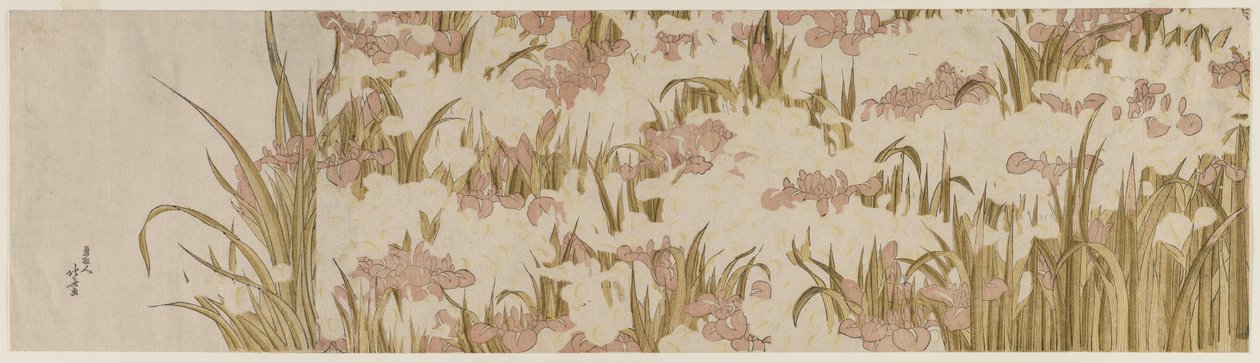 Biało-fioletowe irysy, początek XIX wieku. autorstwa Katsushika Hokusai