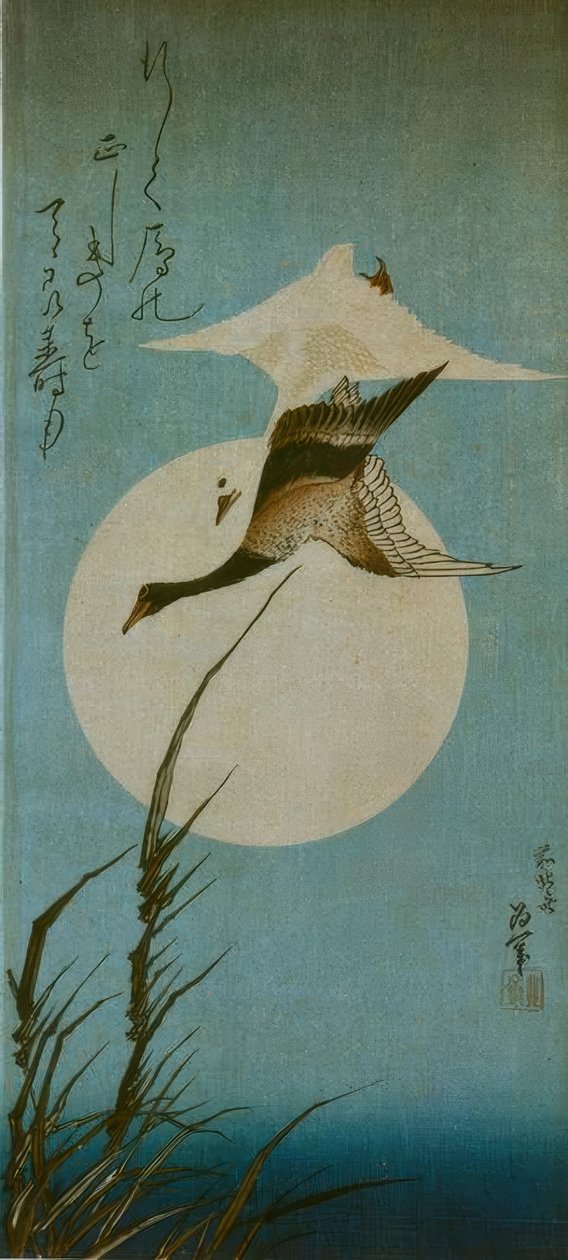 Dwie dzikie gęsi autorstwa Katsushika Hokusai