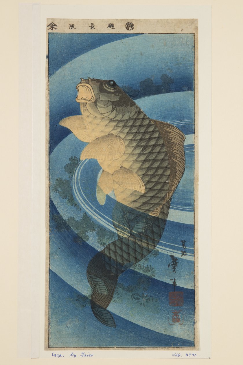 Karp (kolorowy drzeworyt) autorstwa Katsushika II (fl.1820 50) Taito