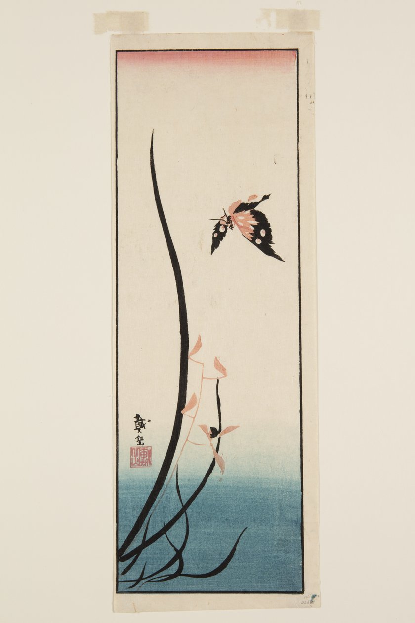 Motyl i trawa (kolorowy drzeworyt) autorstwa Katsushika II (fl.1820 50) Taito