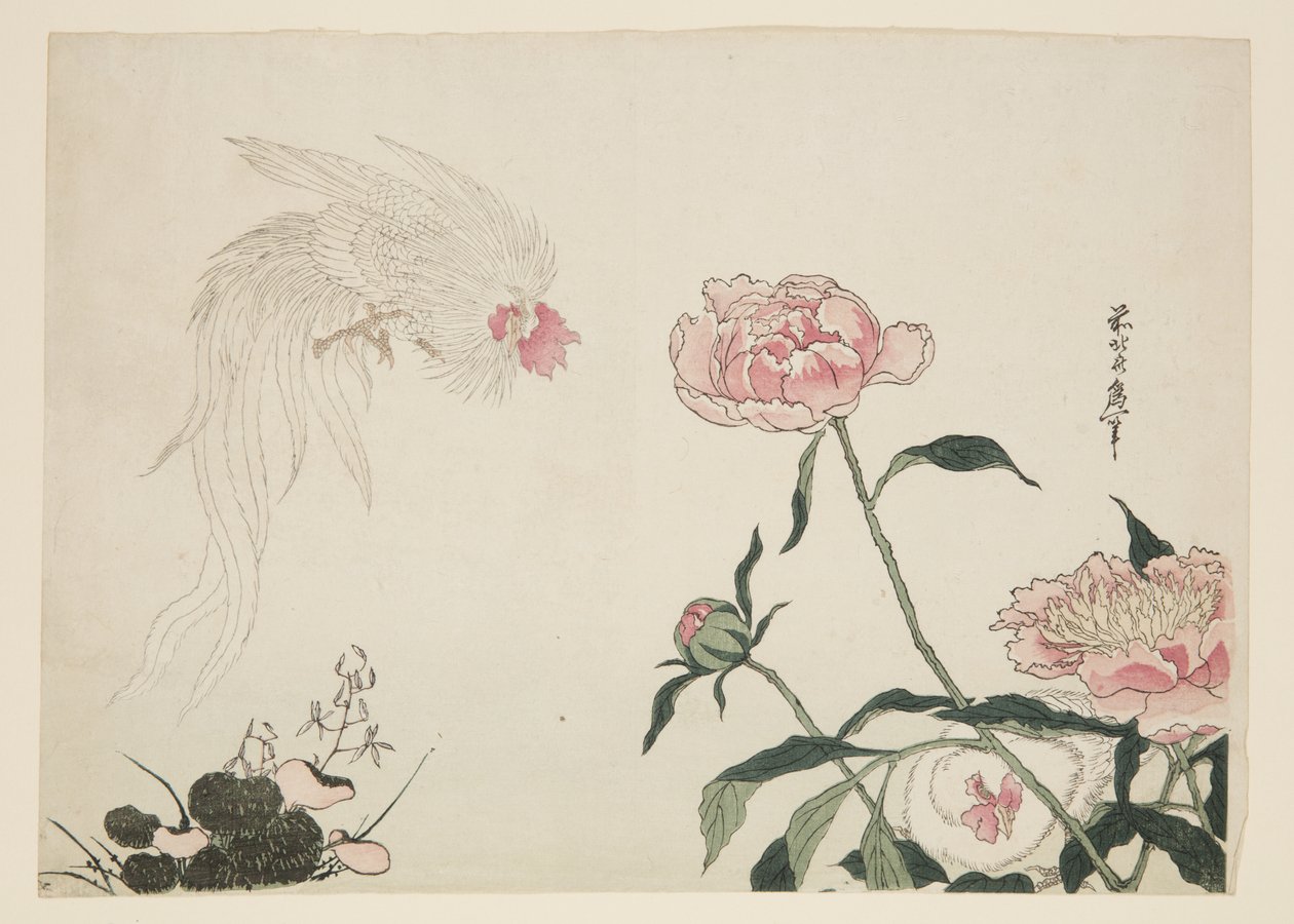 Koguty z długim ogonem wśród kwiatów (kolorowy drzeworyt) autorstwa Katsushika II (fl.1820 50) Taito