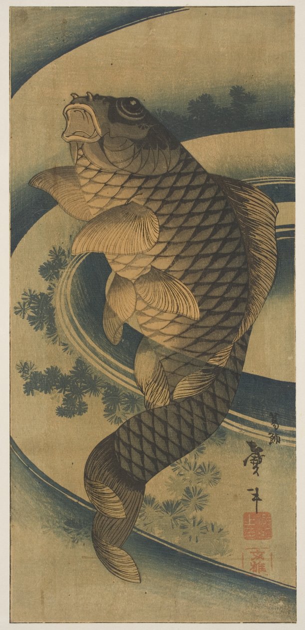 Karp w zawirowaniu wody (drewnodruk) autorstwa Katsushika II Taito