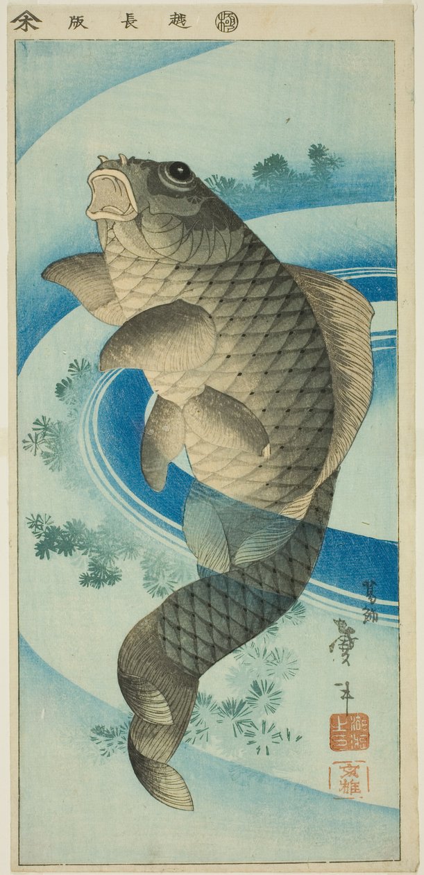Karp autorstwa Katsushika Taito II