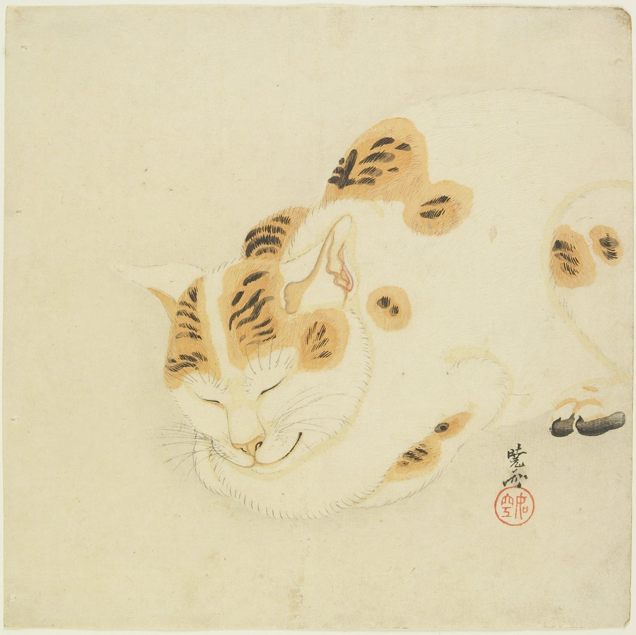 Śpiący kot autorstwa Kawanabe Kyosai