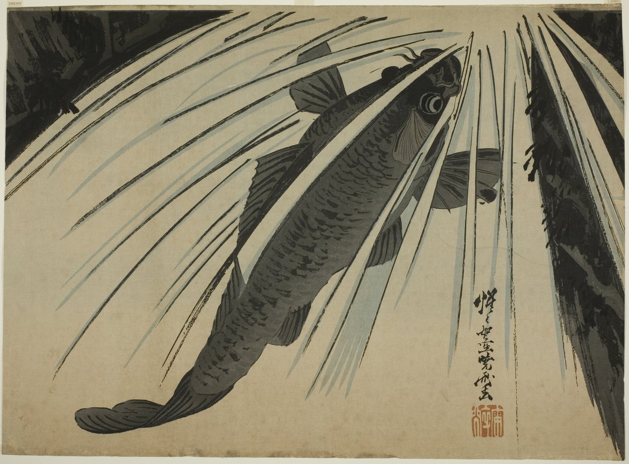 Carp Ascending Falls autorstwa Kawanabe Kyosai