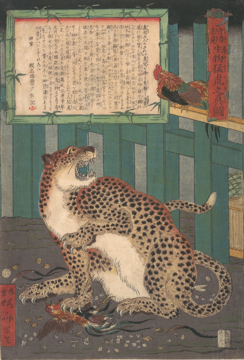 Nigdy wcześniej nie widziany: prawdziwy obraz żywego dzikiego tygrysa..., szósty miesiąc 1860 r. autorstwa Kawanabe Kyosai