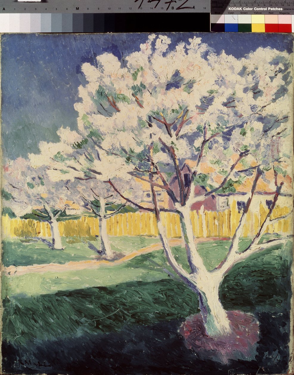 Letni krajobraz. Obraz Kasimira Severinovicha Malewicza (Malevich, Malevic) (1878-1935), olej na płótnie autorstwa Kazimir Severinovich Malevich