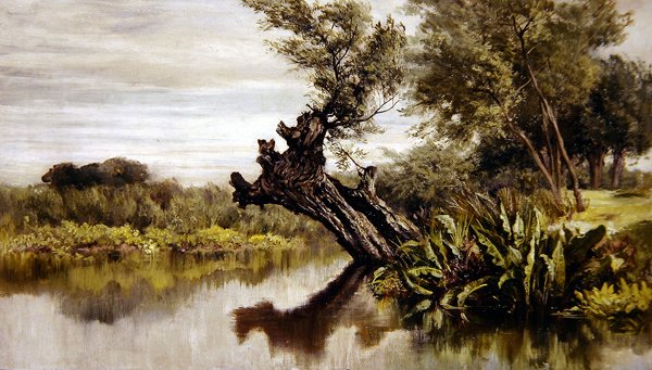 Wierzba (olej na płótnie) autorstwa Keeley Halswelle