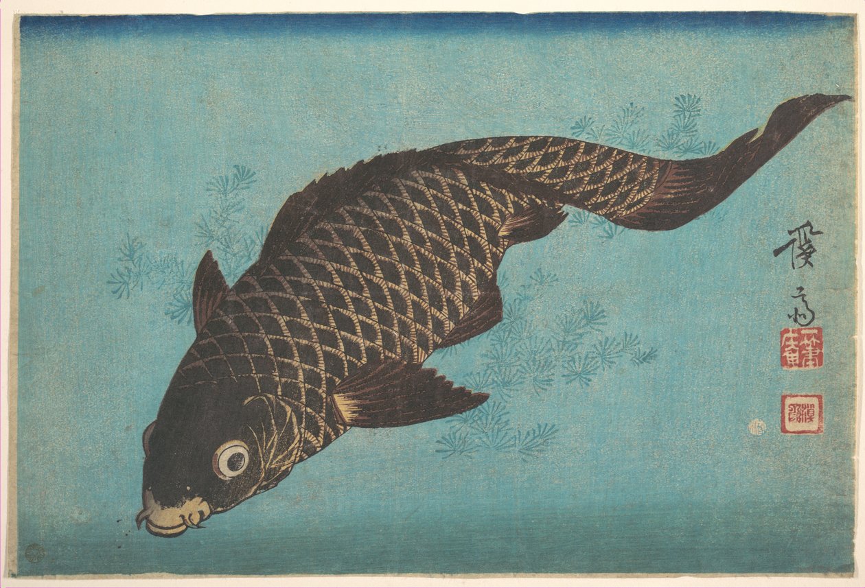 Karp autorstwa Keisai Eisen
