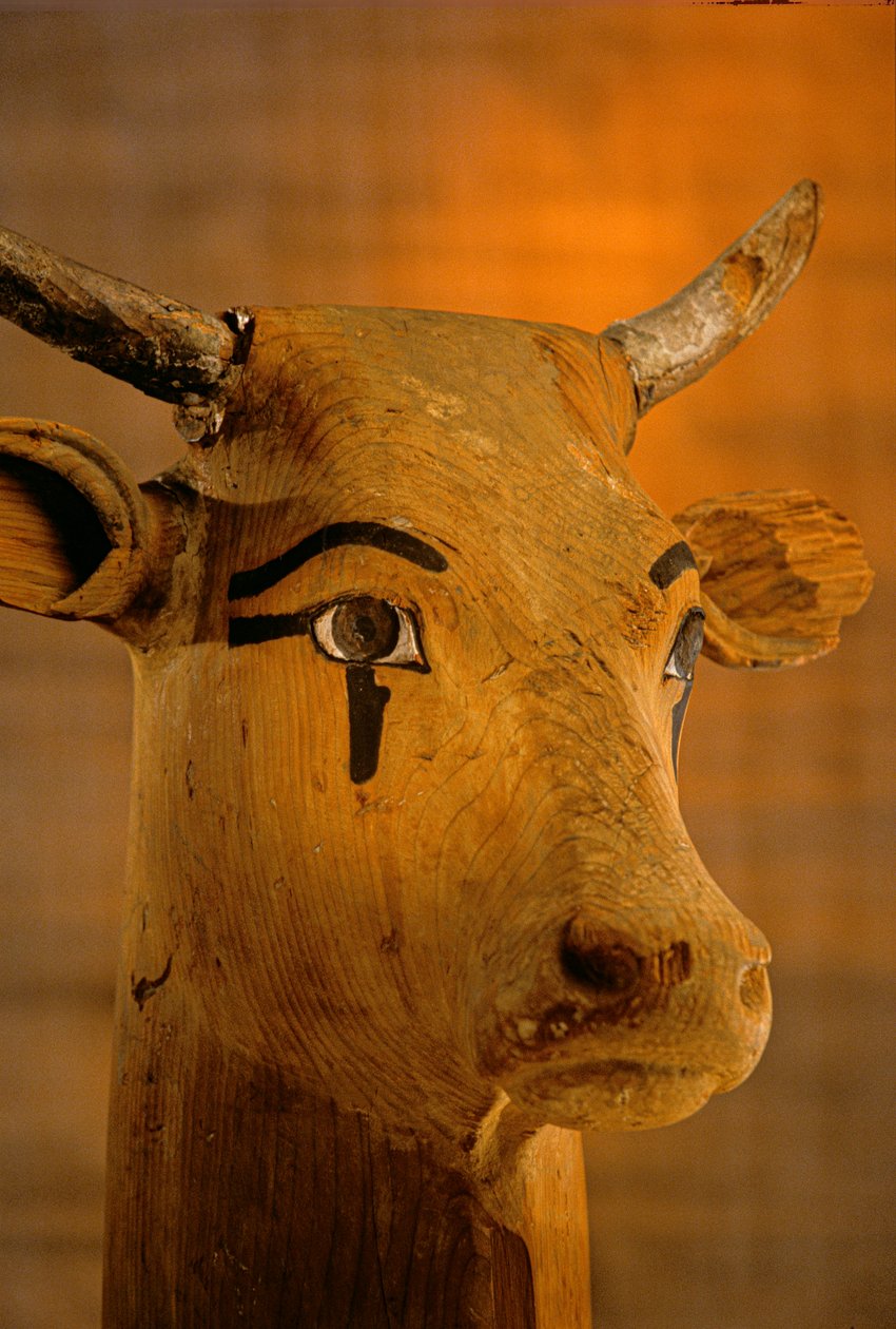Rzeźba głowy krowy, KV35; Amenhotep II, 2009 (zdjęcie) autorstwa Kenneth Garrett