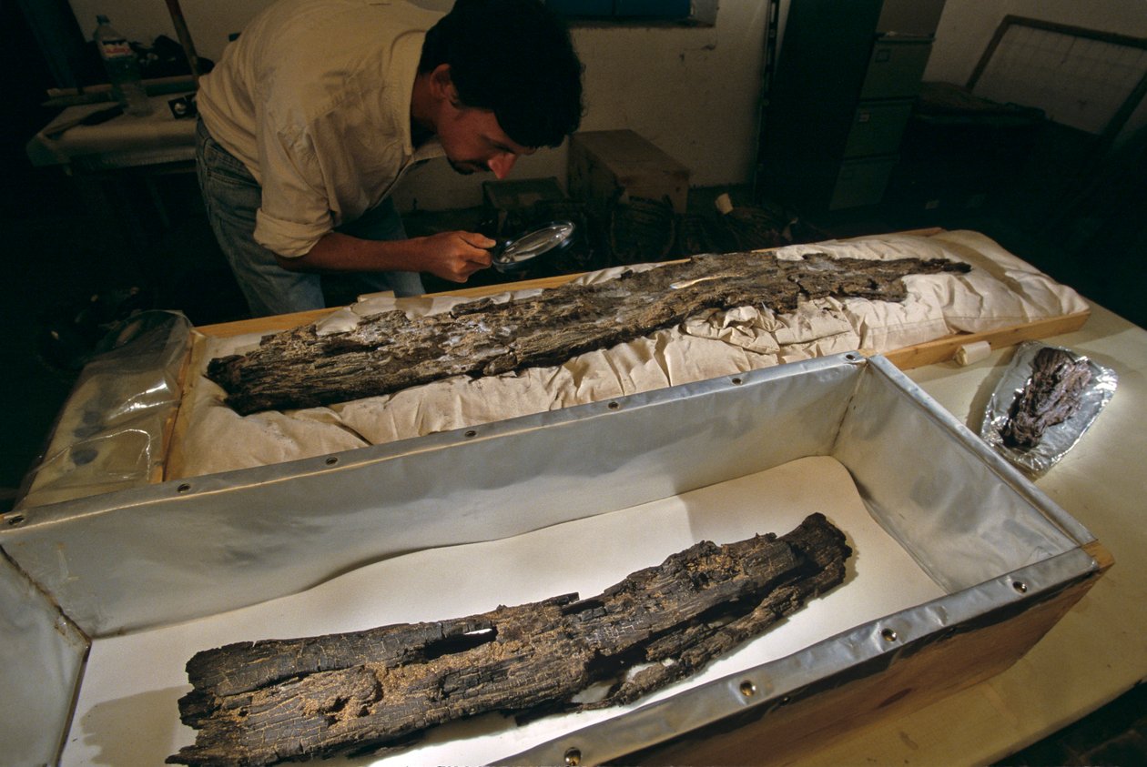 Dr Matthew Adams sprawdza w laboratorium drewnianą deskę łodzi, twarde drewno, nie cedr, z Abydos, Egipt, 2005 r. (zdjęcie) autorstwa Kenneth Garrett