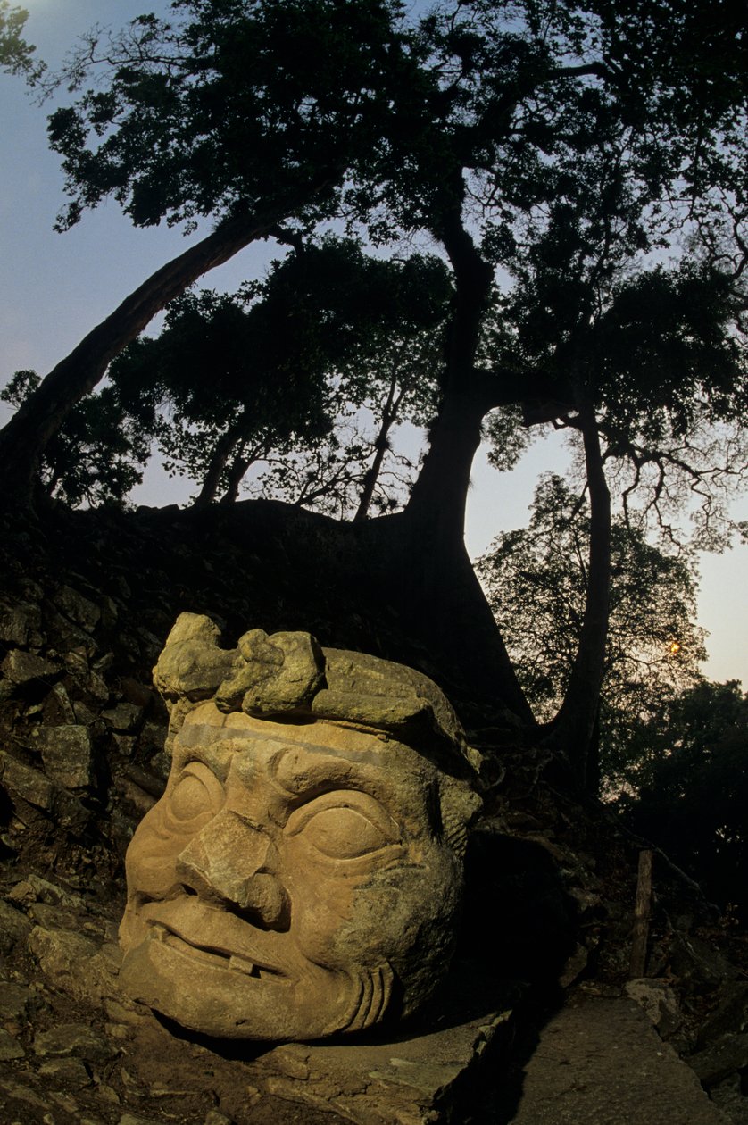 Bóg N, drzewo Ceiba, świątynia, Majowie, Copan, Honduras, okres klasyczny autorstwa Kenneth Garrett