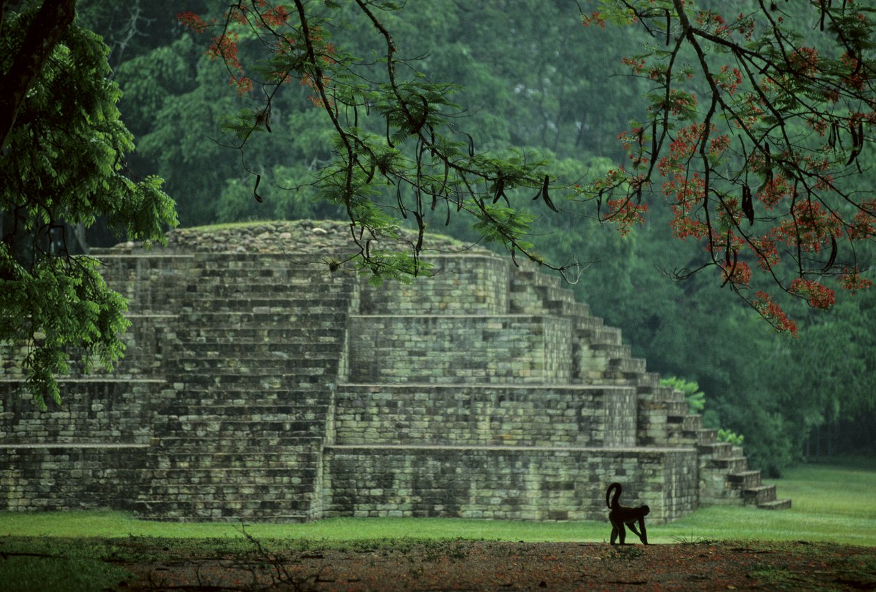 Honduras; Copan; Majowie autorstwa Kenneth Garrett