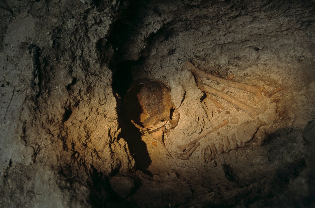 Szczątki ludzkie, Homul Center, Holmul, Gwatemala, Majowie, Francisco Estradabelli, 2008 (zdjęcie) autorstwa Kenneth Garrett