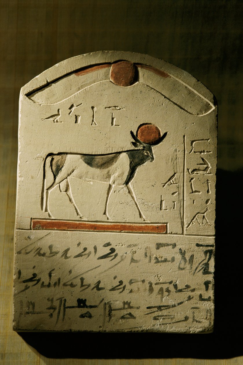 Wapienna stela z Neswennefer, 2002 r. (zdjęcie) autorstwa Kenneth Garrett