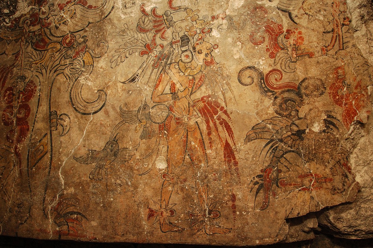 Majowie; malowidła ścienne Majów; San Bartolo; Gwatemala; dr Bill Saturno, 2005 (zdjęcie) autorstwa Kenneth Garrett