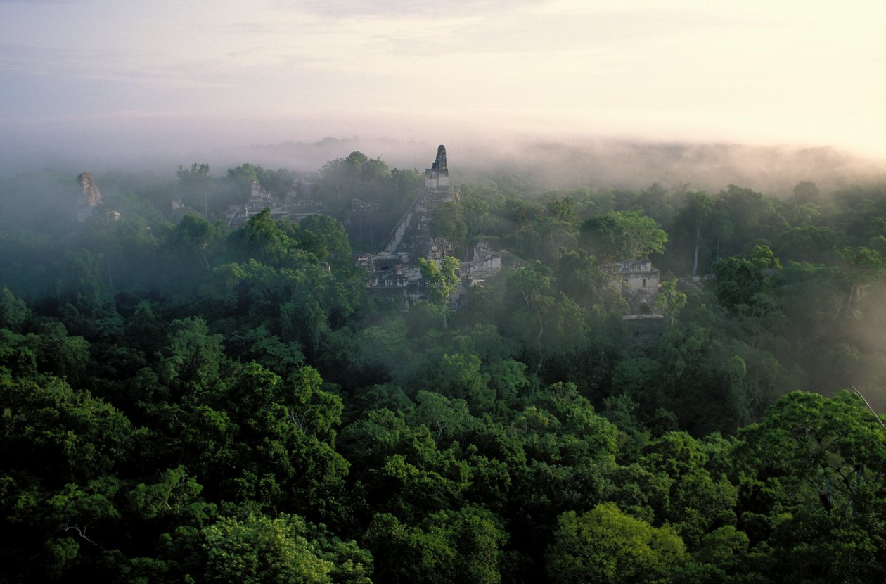 Majowie; Tikal; Gwatemala autorstwa Kenneth Garrett