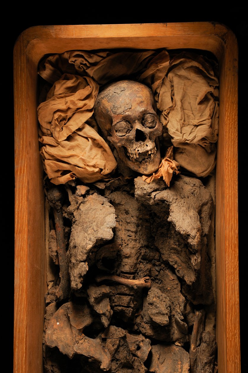 Mumia Amenhotepa III, dziadka króla Tuta, KV 35, Tutanchamon; XVIII dynastia; Nowy..., 2005 (zdjęcie) autorstwa Kenneth Garrett
