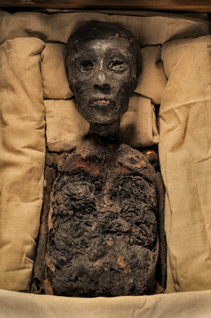 Mumia króla Tuta, mm7864; XVIII dynastia; Nowe Królestwo; Muzeum Egipskie; Kair; Egy..., 2005 (zdjęcie) autorstwa Kenneth Garrett