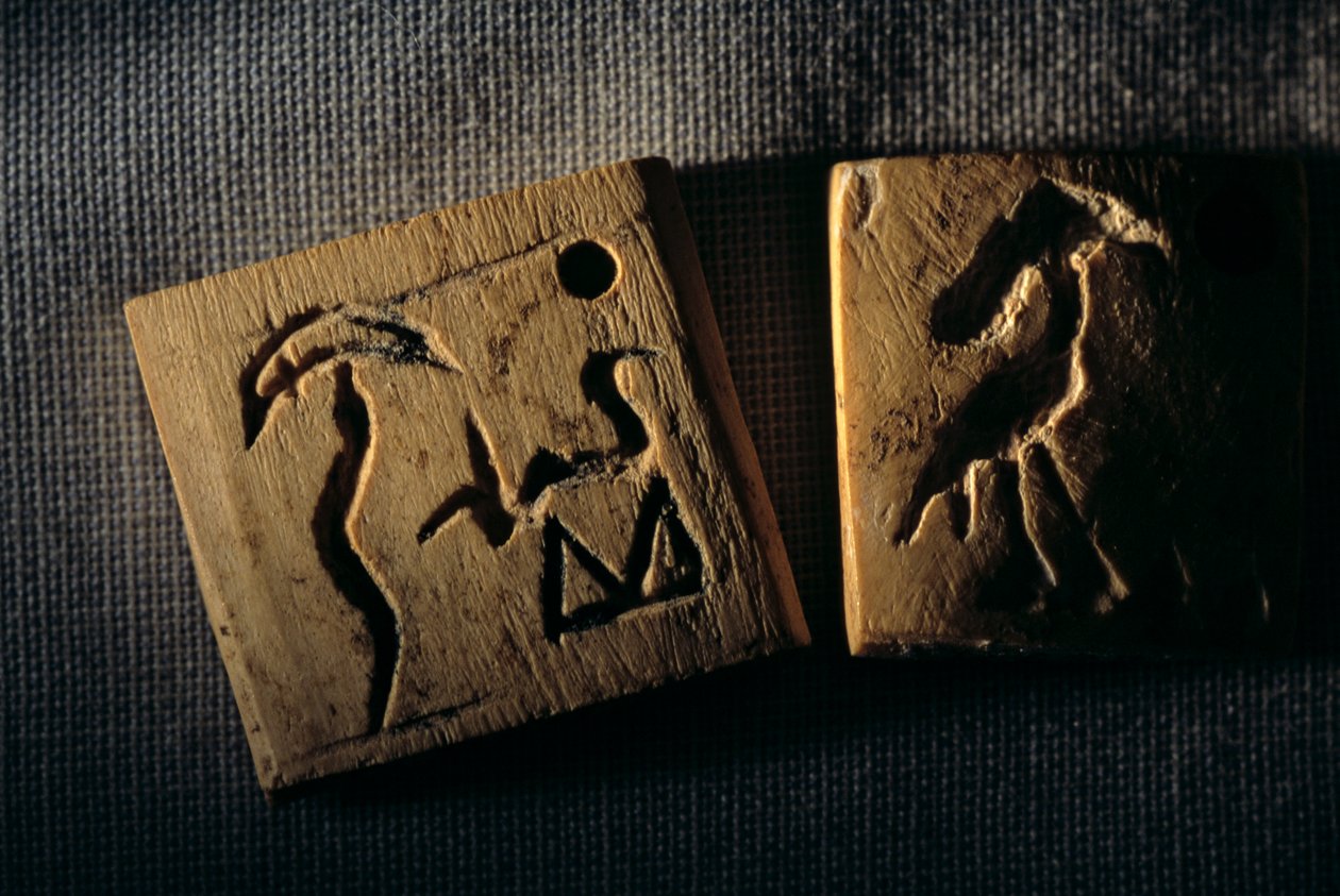 Predynastyczna etykieta z kości słoniowej, najwcześniejsze pismo, dr Gunter Dreyer, Egipt, 2005 (zdjęcie) autorstwa Kenneth Garrett