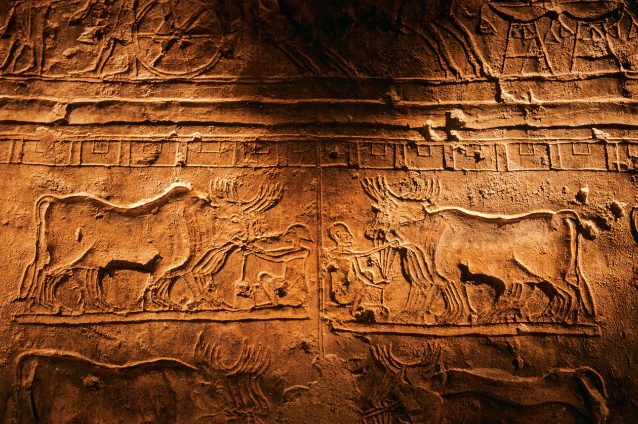 Relief z grobowca Meryre (Merera), Najwyższego Kapłana Aten w Akhetaten" i "Fanbe..., 2001 (zdjęcie) autorstwa Kenneth Garrett