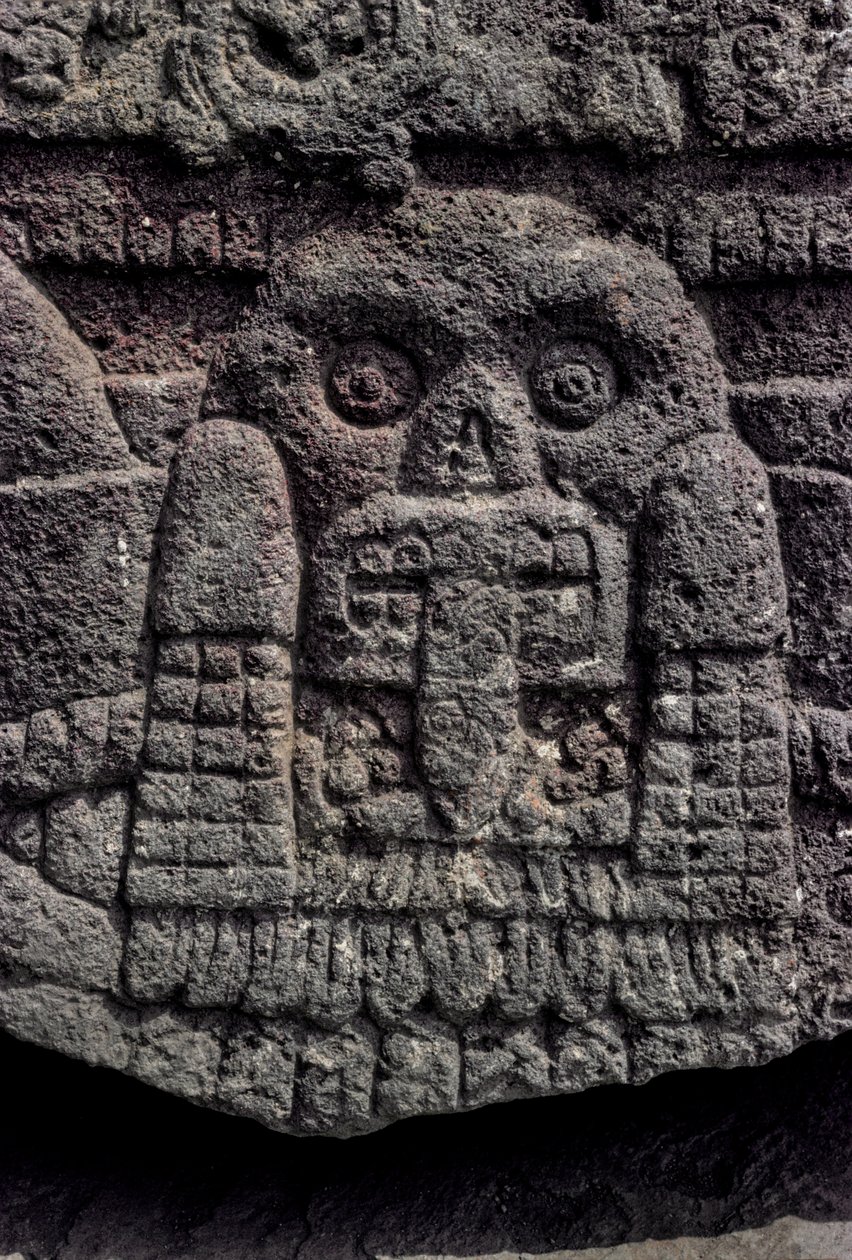 Rzeźba czaszki i węża, Tenochtitlan, Templo Mayor, Aztekowie, Meksyk, Mexico City, Gr..., 2010 (zdjęcie) autorstwa Kenneth Garrett