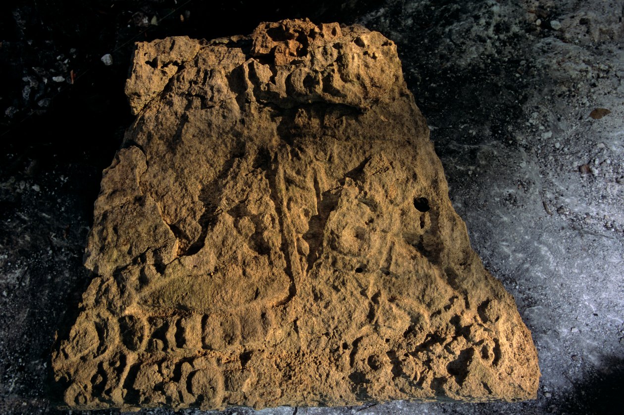 Stela, Sufricaya, Holmul, Gwatemala, Majowie, Francisco Estradabelli, 2008 (zdjęcie) autorstwa Kenneth Garrett