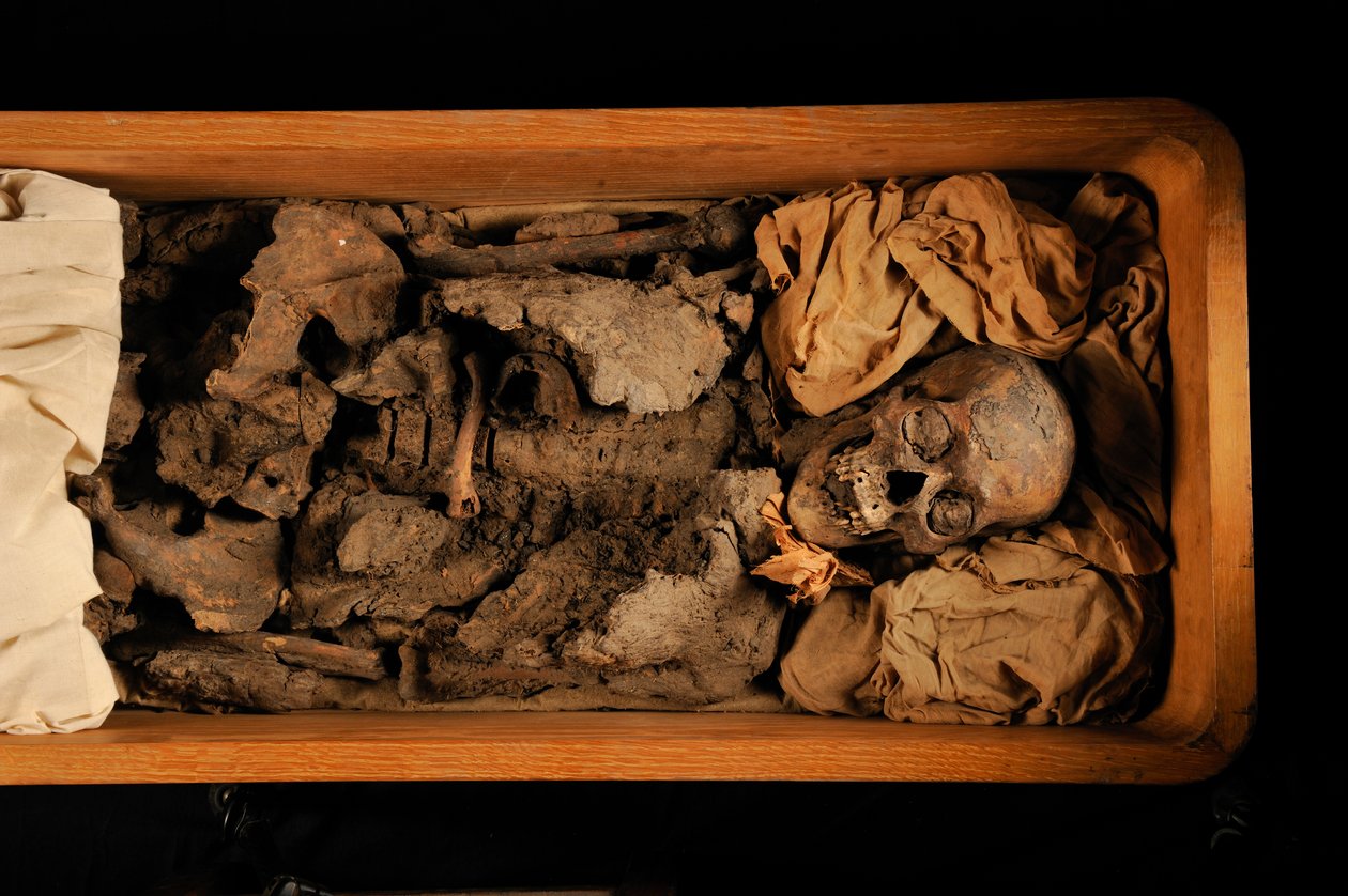 mm7864; Tutanchamon; XVIII dynastia; Nowe Królestwo; Muzeum Egipskie; Kair; DNA; samp..., 2005 (zdjęcie) autorstwa Kenneth Garrett