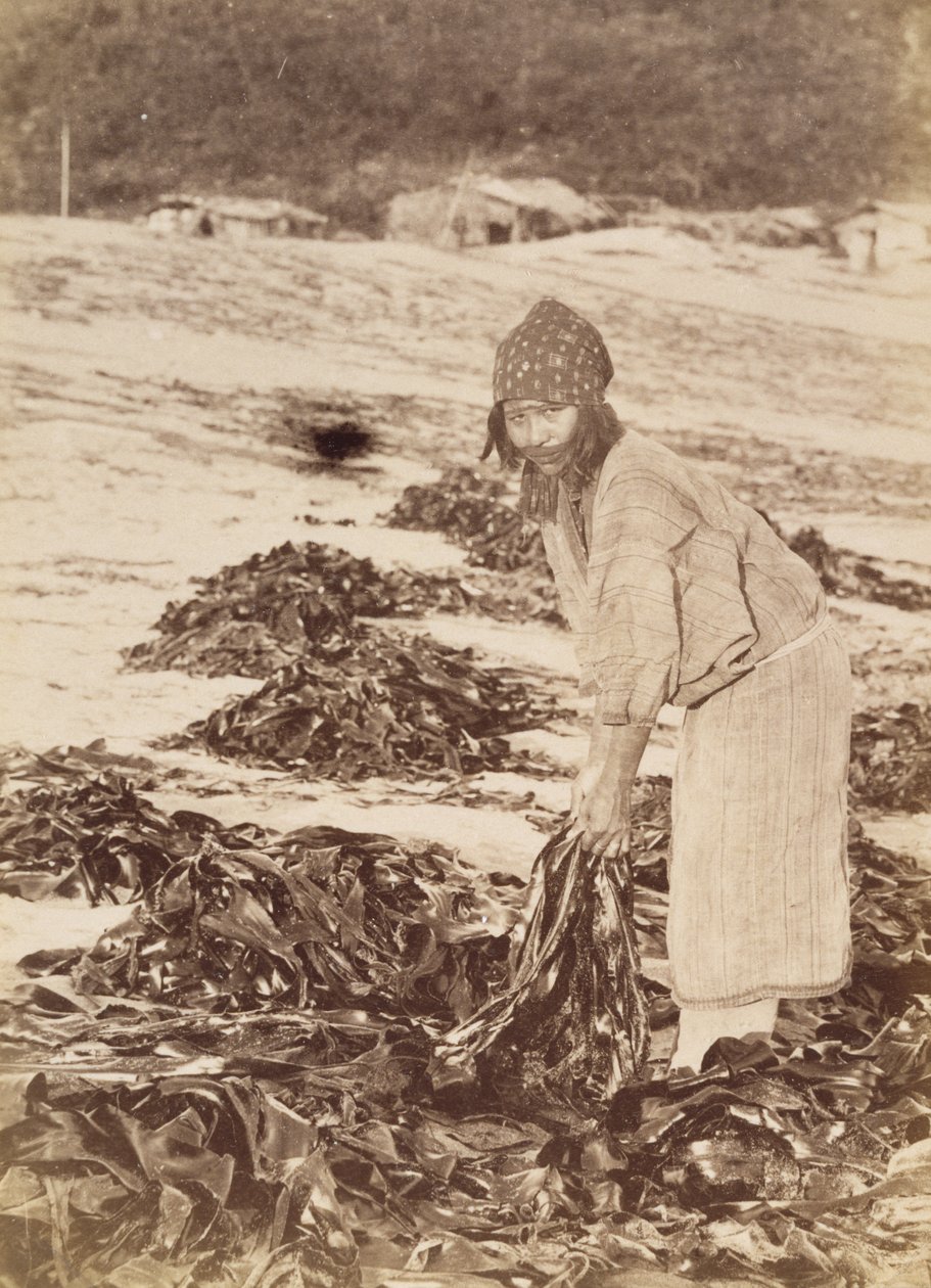 Kobieta Ainu zbierająca wodorosty, ok. 1900 (srebrny odcisk albumu) autorstwa Kenzô Tamoto