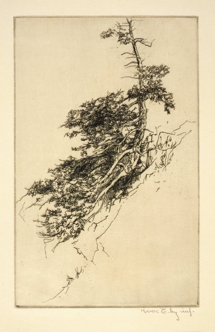 Little Rock Pine autorstwa Kerr Eby