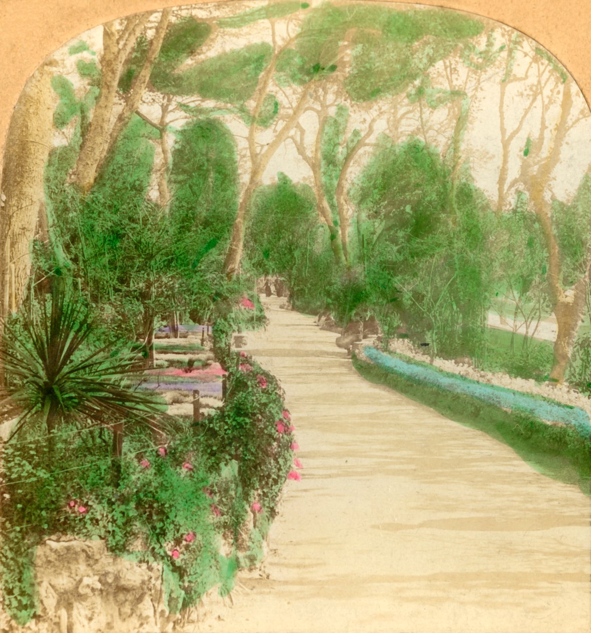 Promenada, Ogród Alameda, Skała Gibraltarska, 1896. autorstwa Keystone View Company