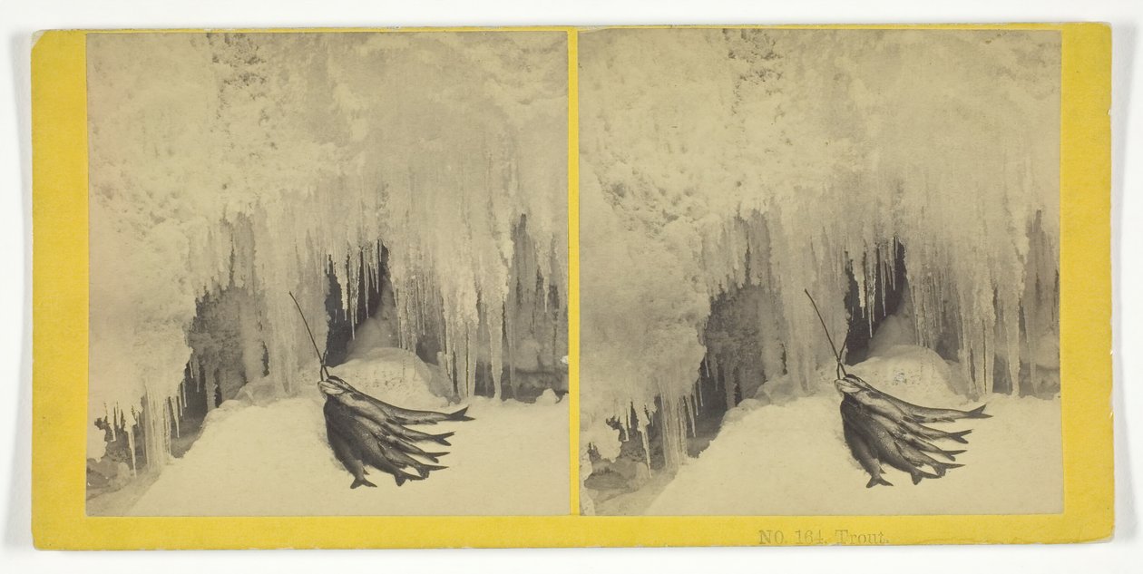 Pstrąg, 185575. Twórcy: Kilburn Brothers, BW Kilburn. autorstwa Kilburn Brothers, BW Kilburn