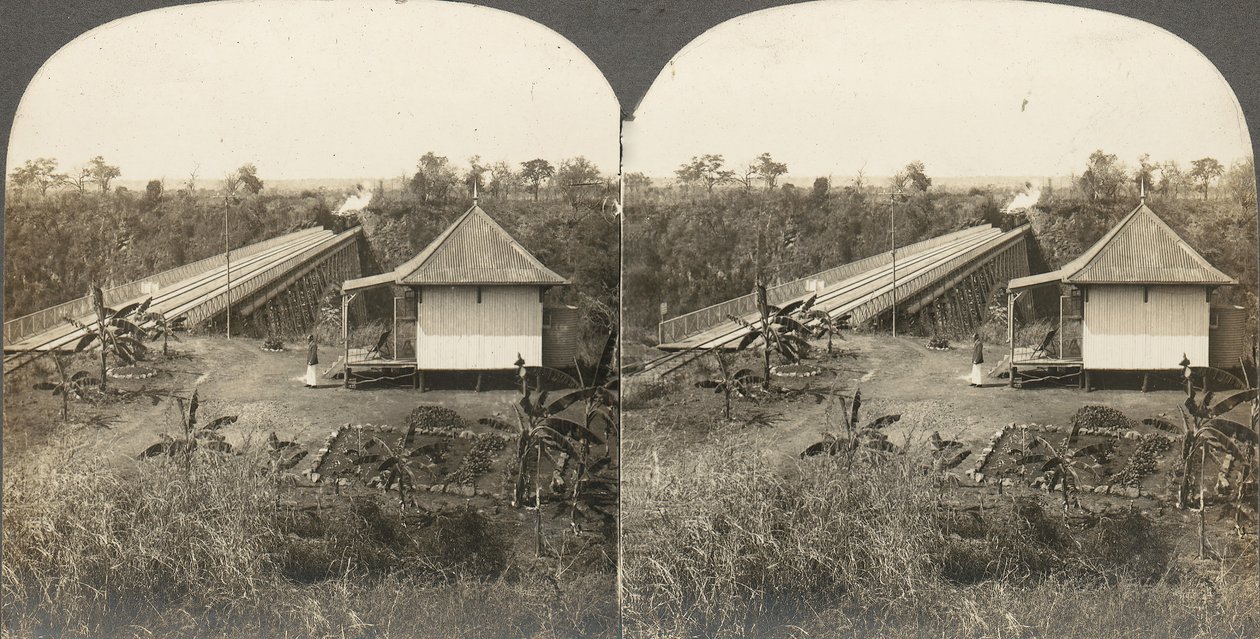 Grupa 14 stereogramów Afryki i aktorów, lata 50.-1910. autorstwa Kilburn Brothers