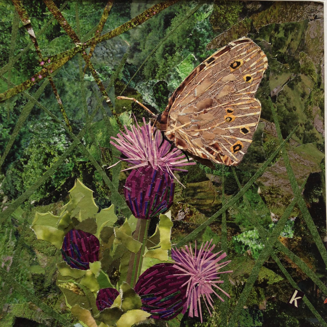 Flit - satyrowy motyl na oset autorstwa Kirstie Adamson