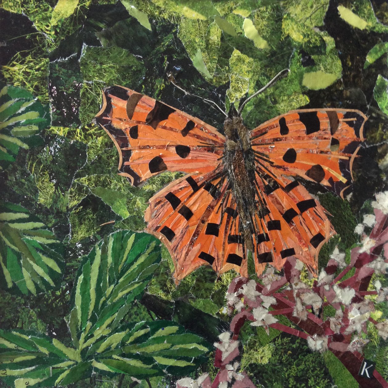 Flutter - motyl przecinkowy na japonice autorstwa Kirstie Adamson