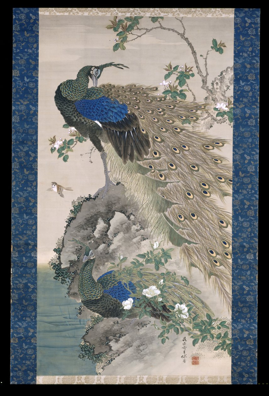 Cherry-Apple And Peacocks On Rock (atrament i kolory na jedwabiu) autorstwa Kishi Ganku