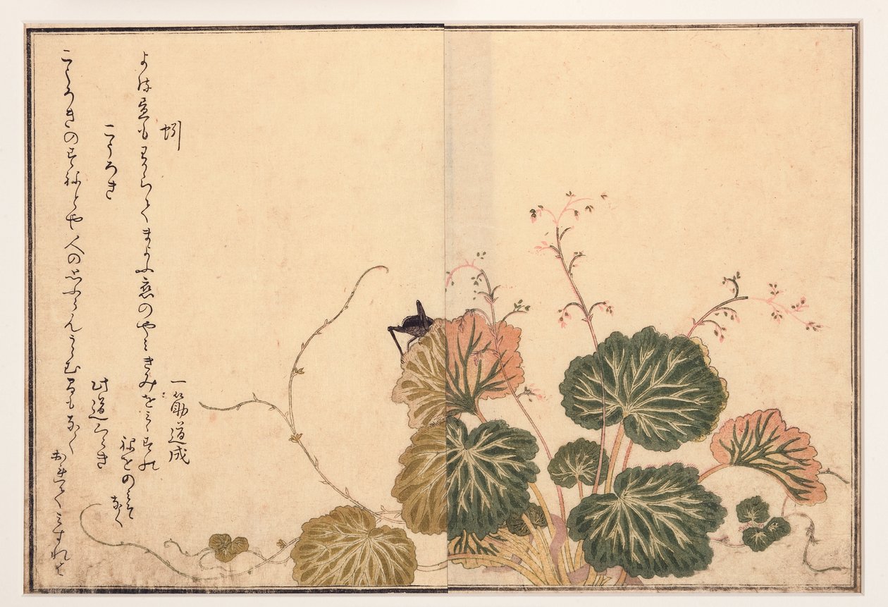 Dżdżownica i czarny świerszcz, 1788 (drzew) autorstwa Kitagawa Utamaro