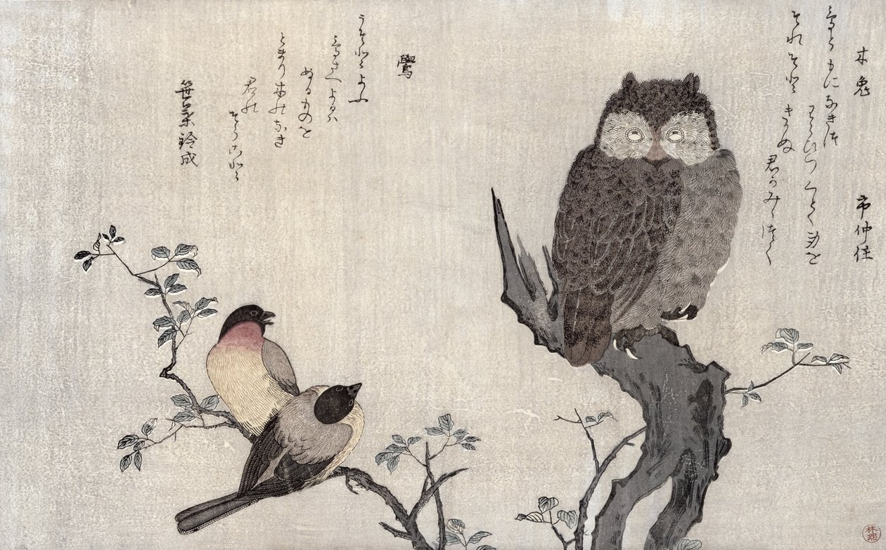 Sowa i dwa gile wschodnie, z albumu „Ptaki porównywane w pieśniach humorystycznych, konkurs poezji 100 i 1000 ptaków”, 1791 (kolorowy drzeworyt) autorstwa Kitagawa Utamaro
