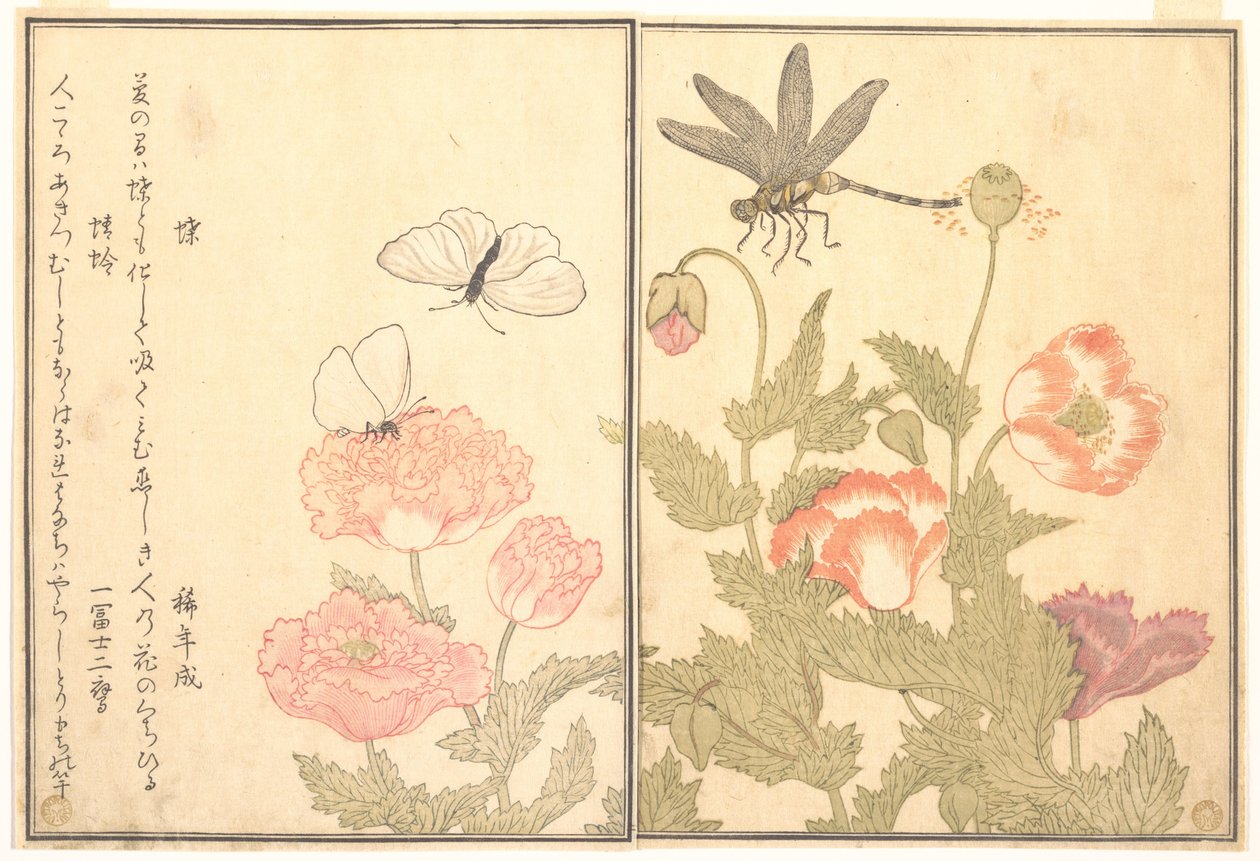 Motyl (Chō); Ważka (Kagerō lub Tonbo), z Ilustrowanej księgi pełzających stworzeń (Ehon mushi erami) autorstwa Kitagawa Utamaro