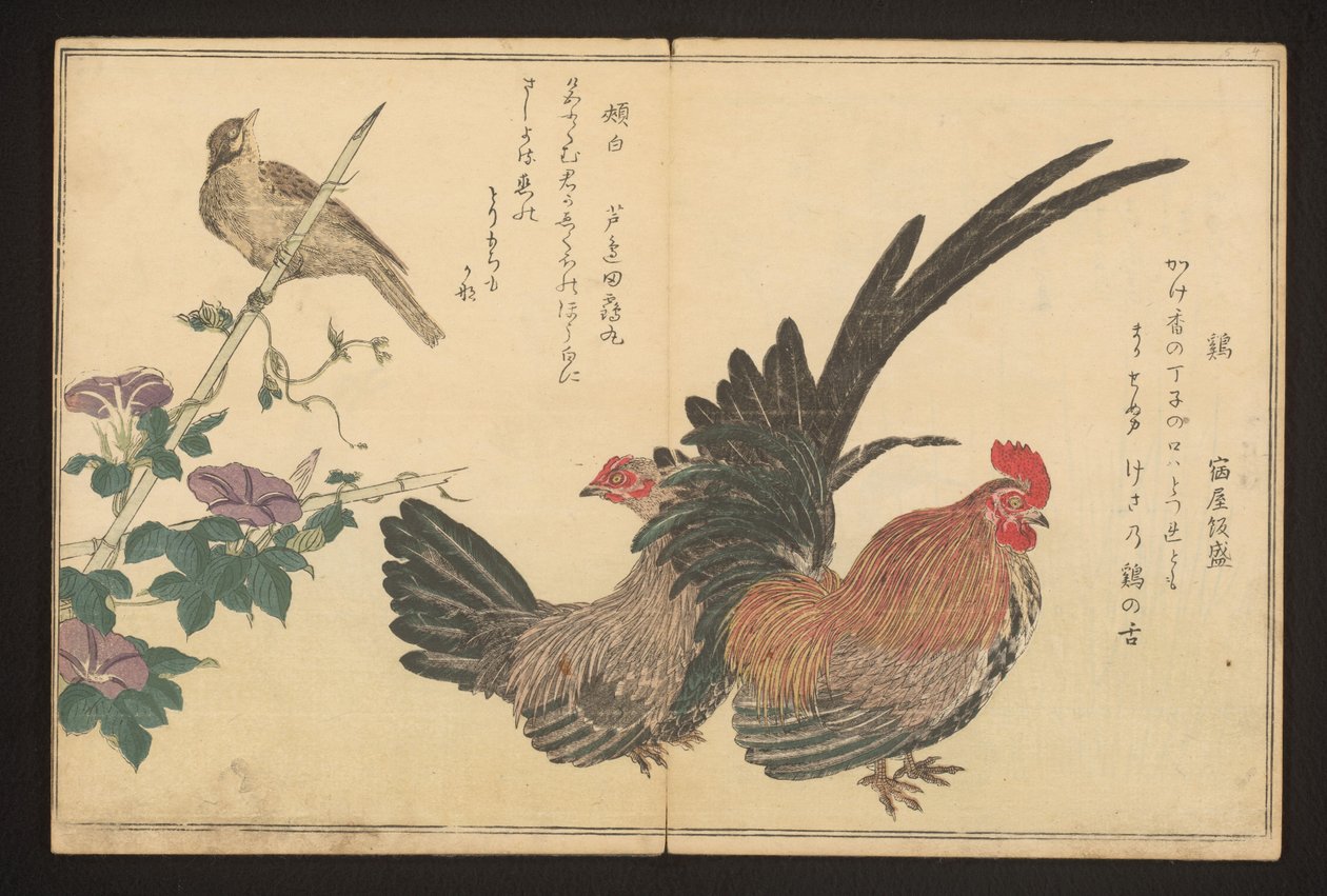Kogut i trznadel autorstwa Kitagawa Utamaro