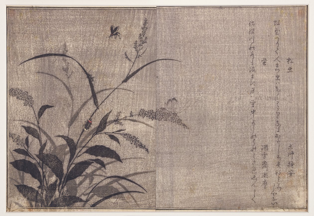 Świerszcz i świetliki, 1788 (drzew) autorstwa Kitagawa Utamaro