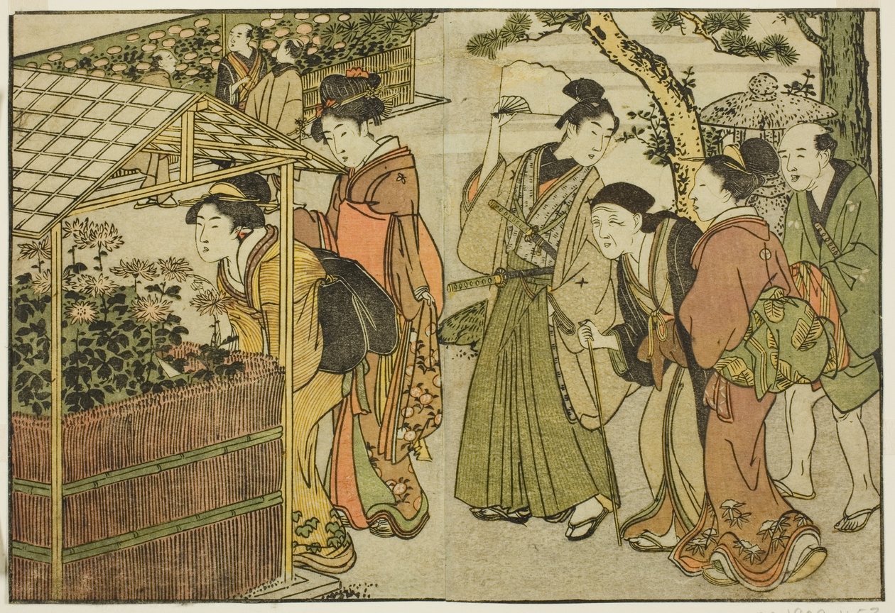 Wystawa chryzantem z ilustrowanej książki „Obrazówka: Kwiaty czterech pór roku (Ehon shiki no hana)” tom. 2 autorstwa Kitagawa Utamaro