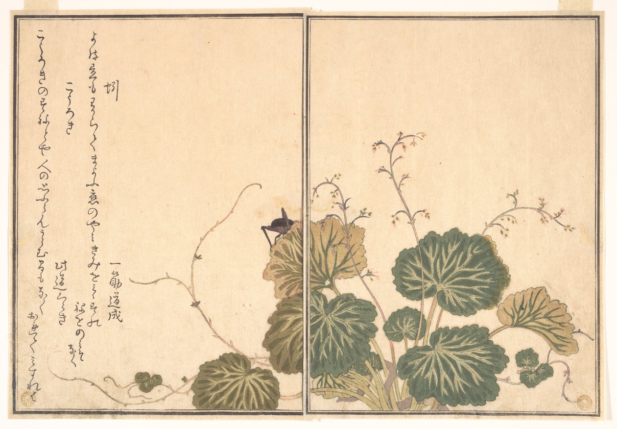 Dżdżownica (Mimizu); świerszcz (Kōrogi), z Ilustrowanej księgi pełzających stworzeń (Ehon mushi erami) autorstwa Kitagawa Utamaro