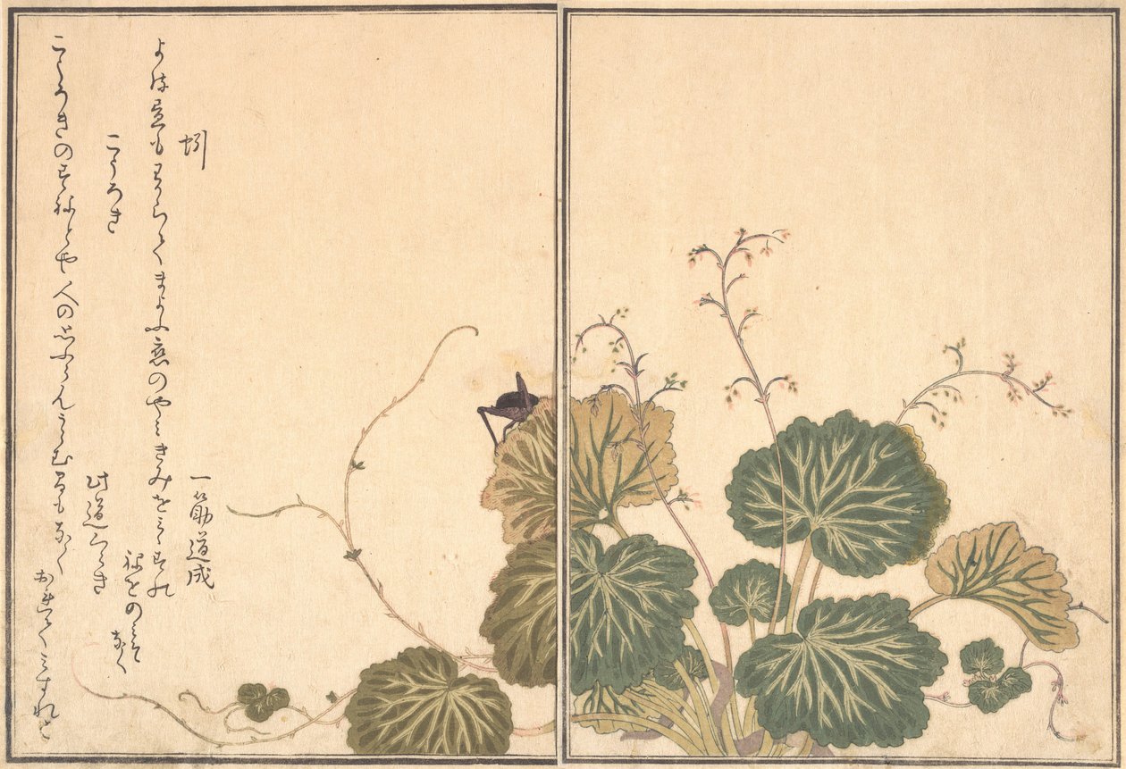 Dżdżownica Mimizu, Cricket Korogi..., 1788. autorstwa Kitagawa Utamaro