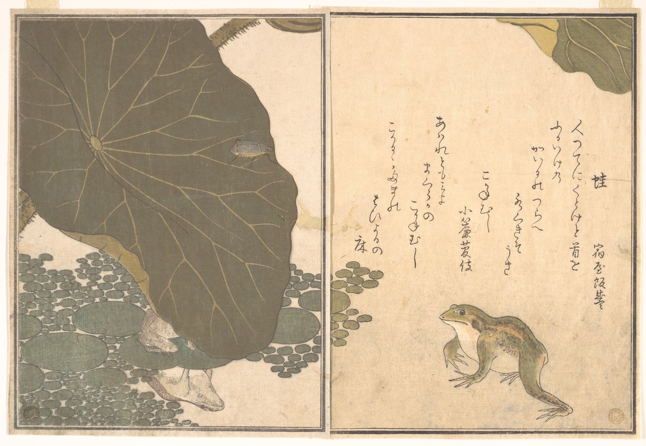 Żaba (Kaeru); złoty chrząszcz (Kogane mushi), z Ilustrowanej księgi pełzających stworzeń (Ehon mushi erami) autorstwa Kitagawa Utamaro