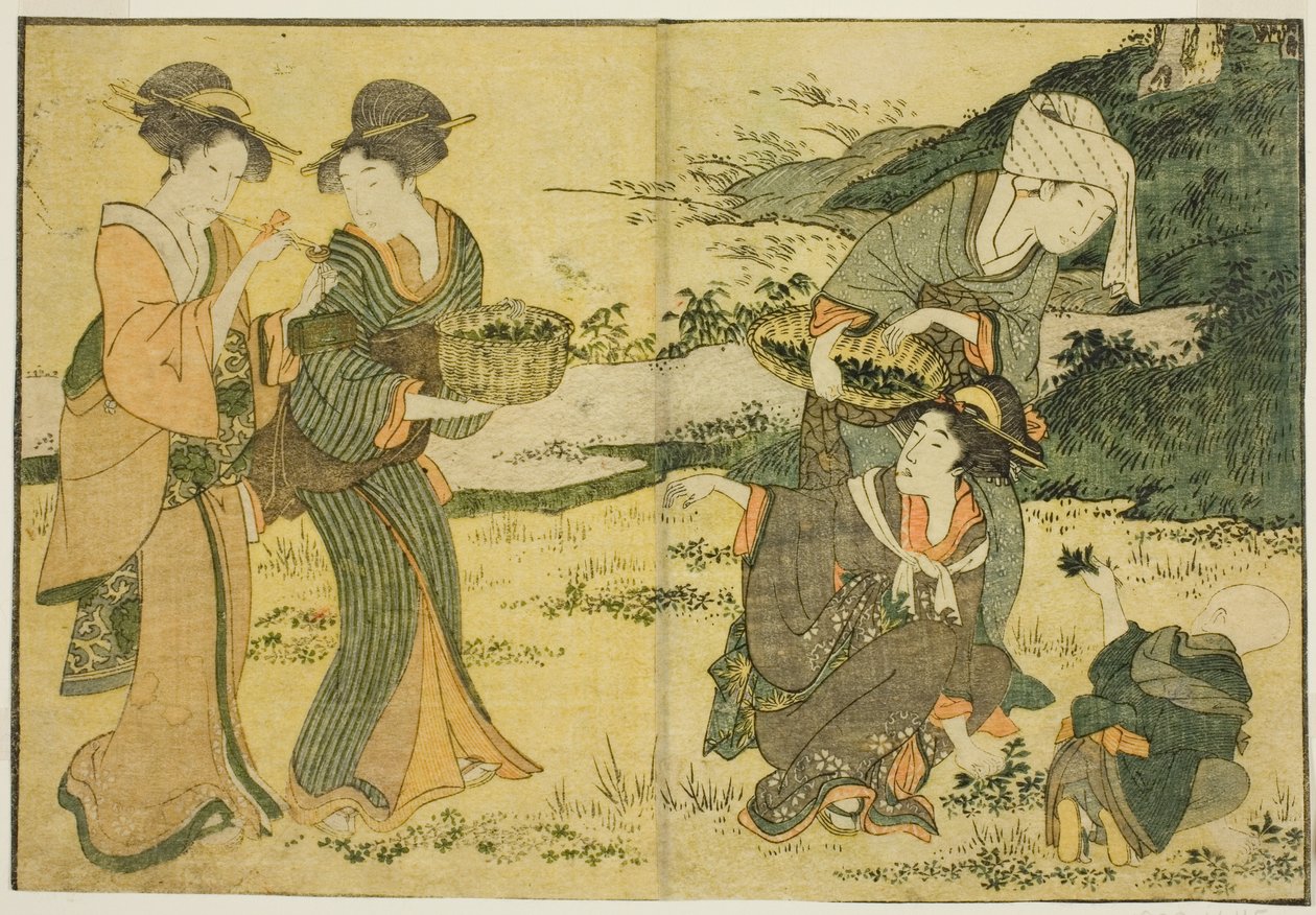 Zbieranie wiosennych ziół, z ilustrowanej książki „Picture Book: Flowers of the Four Seasons (Ehon shiki no hana),” tom. 1 autorstwa Kitagawa Utamaro
