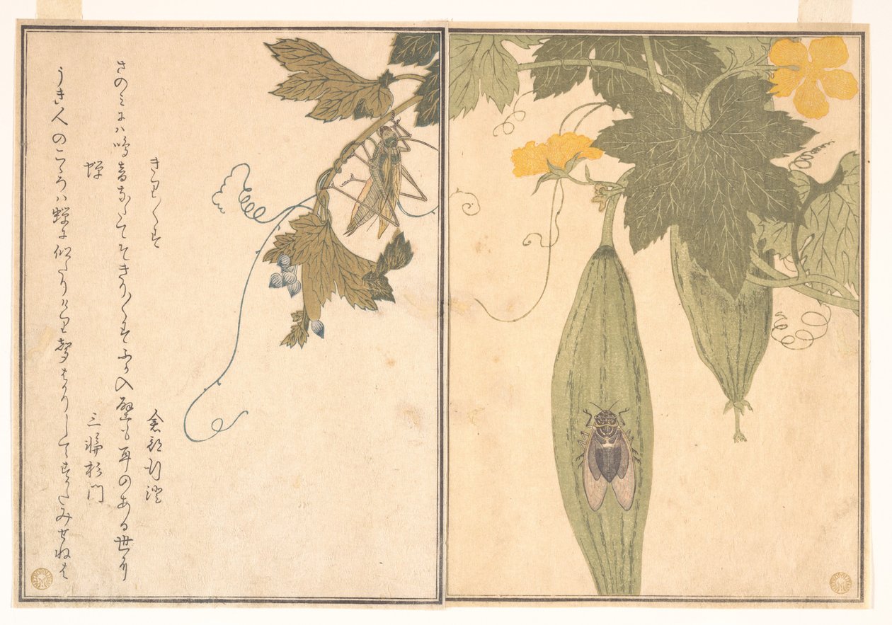 Konik polny (Kirigirisu); cykada (Semi), z Ilustrowanej księgi pełzających stworzeń (Ehon mushi erami) autorstwa Kitagawa Utamaro